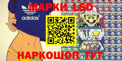 spice Гусь-Хрустальный