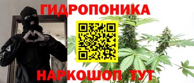 spice Гусь-Хрустальный