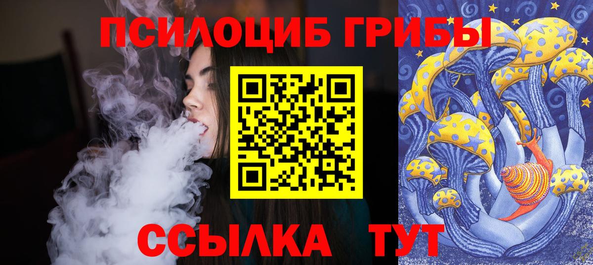 Галлюциногенные грибы Psilocybine cubensis  Вход с VPN  Мценск  Псилоцибиновые грибы GOLDEN TEACHER 